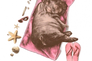 Бегемот спит на пляже