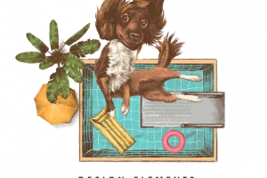 Собака в бассейне