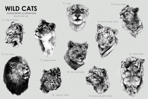 Дикие кошки.