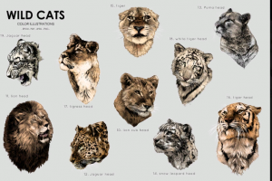 Дикие кошки.