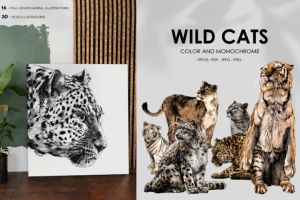 Дикие кошки. Вектор