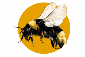 Работа 3154719