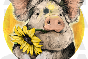 Иллюстрация для книги " Тотемные животные"