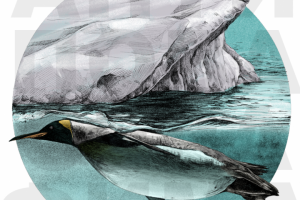 Иллюстрация для книги " Тотемные животные"