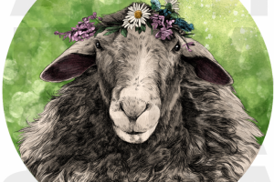 Иллюстрация для книги " Тотемные животные"