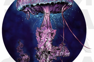 Иллюстрация для книги " Тотемные животные"