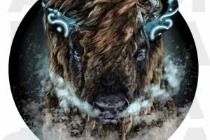 Иллюстрация для книги " Тотемные животные"