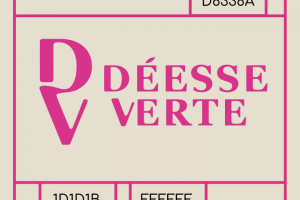 DS женская одежда