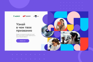 О программе "Профессор"