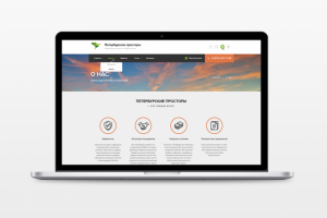 Сайт "Петербургские просторы"