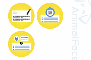 Animal Face – векторные иллюстрации