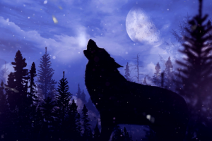 Презентационный ролик для серии книг московской писательницы