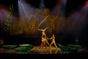 Невероятное шоу цирка CIRQUE DU SOLEIL