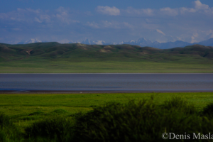 Работа 4097614