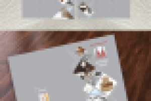 Presentation Folders 2