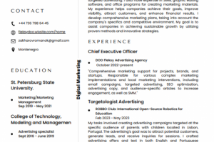 Резюме на английском.