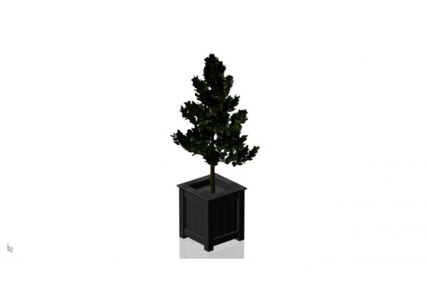 img3577388.png
