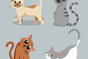Котики