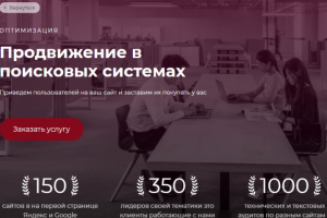 Поисковое продвижение сайтов (SEO)