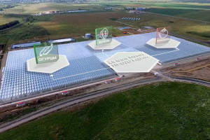 Рил по работе с трехмерной графикой и анимацией