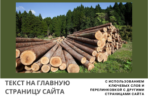 LSI (SEO)-текст для главной страницы сайта