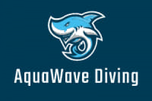 Александр Рожнов