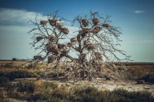 Фотосъемка