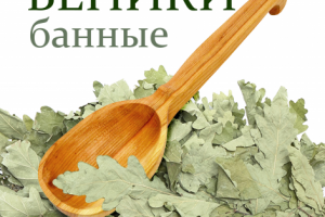 Веники для бани