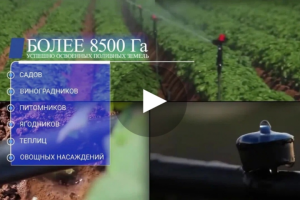 Видеоролики