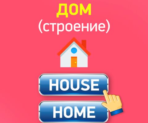 img3974717.png