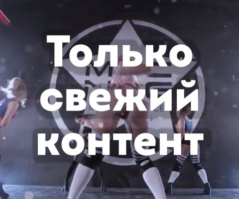 img3519034.png