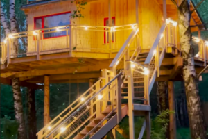 Ролик для сервиса Cuva