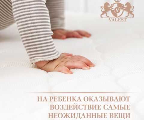 img3312559.png