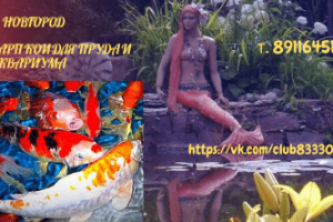 Работа 3982808