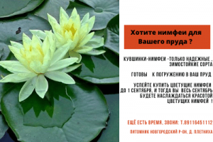 Работа 3982789