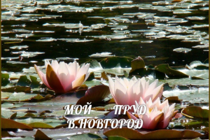 Работа 3982781