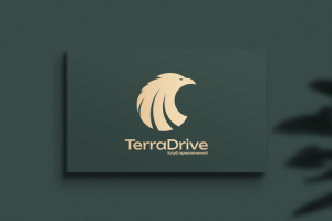 Логотип для TerraDrive