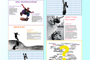 Презентация на тему "Why skateboarding"