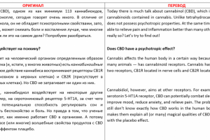 Каннабиноиды, Рус -- Англ