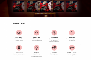 Макет сайта по продаже музыкальных инструментов