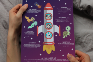 Детская инфографика "Животные-космонавты"