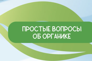 Простые вопросы об органике