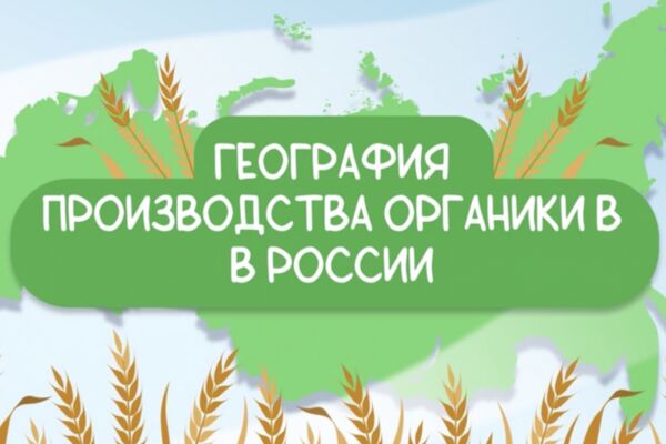 img4531922.png