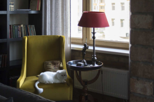 Галерея в доме