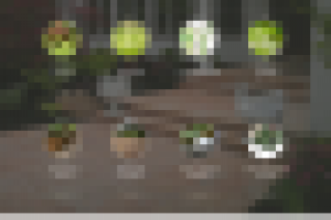 Сайт студии ландшафтного дизайна