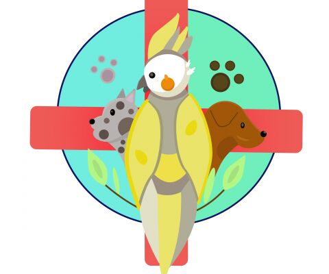 img4469769.png