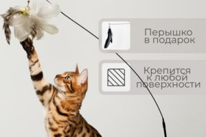 Инфографика для маркетплейсов