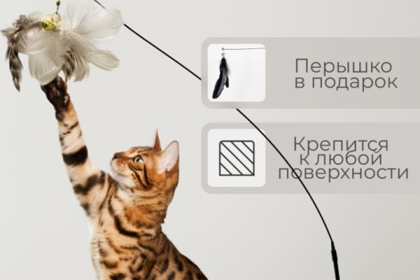 img4544955.png