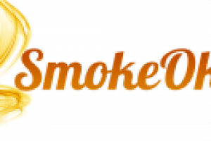 Работа 3103525