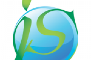 Работа 3102981